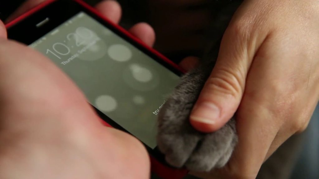 مشکل پس از تعویض LCD